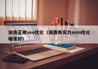 湖南正規(guī)seo優(yōu)化（湖南有實力sem優(yōu)化哪家好）