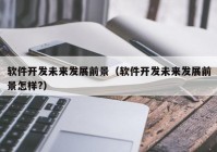 軟件開(kāi)發(fā)未來(lái)發(fā)展前景（軟件開(kāi)發(fā)未來(lái)發(fā)展前景怎樣?）