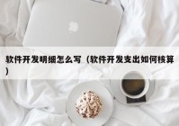 軟件開(kāi)發(fā)明細(xì)怎么寫(xiě)（軟件開(kāi)發(fā)支出如何核算）