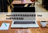 aspice軟件開發(fā)流程業(yè)內薪資（aspice軟件開發(fā)流程）