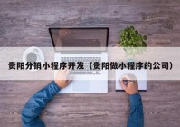 貴陽(yáng)分銷小程序開發(fā)（貴陽(yáng)做小程序的公司）