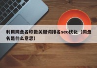 利用網(wǎng)盤(pán)名稱做關(guān)鍵詞排名seo優(yōu)化（網(wǎng)盤(pán)名是什么意思）