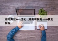 湖南專業(yè)seo優(yōu)化（湖南有實(shí)力sem優(yōu)化推薦）